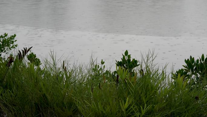 下雨天湖边