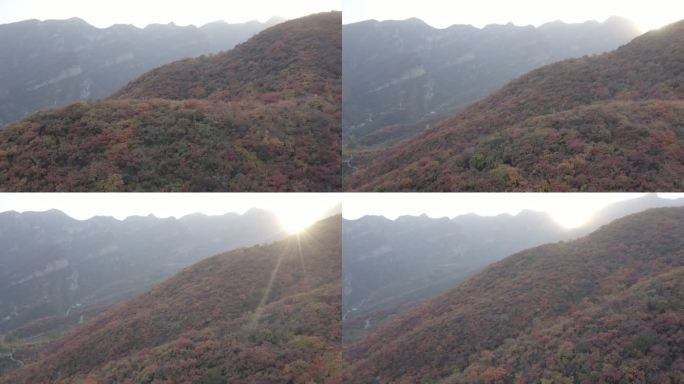 坡峰岭 秋季航拍 山峦空镜