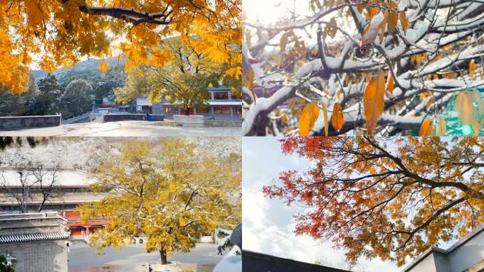 北京西山八大处风景区秋冬雪景风光
