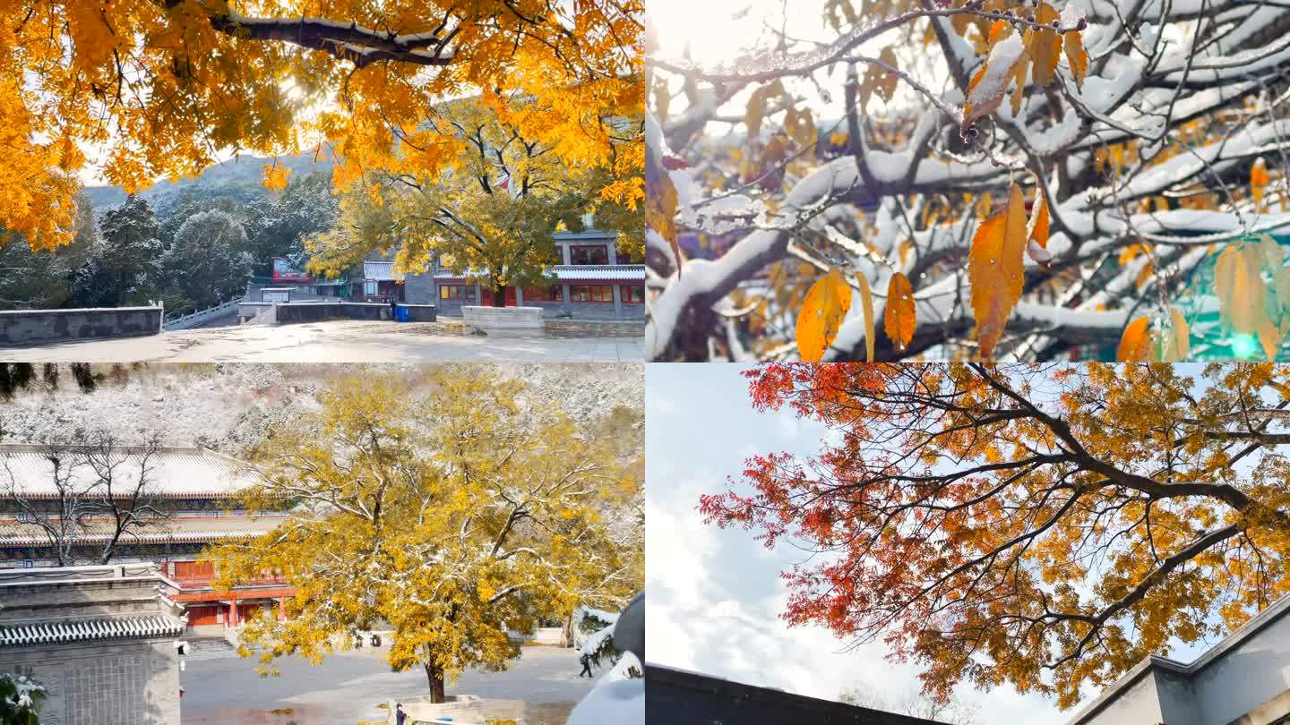 北京西山八大处风景区秋冬雪景风光