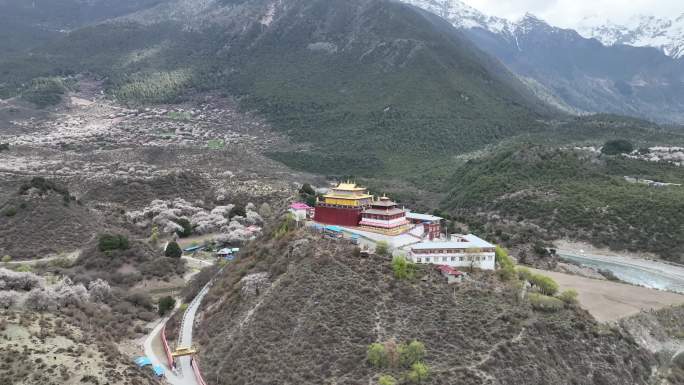 西藏林芝桃花节喇嘛庙航拍