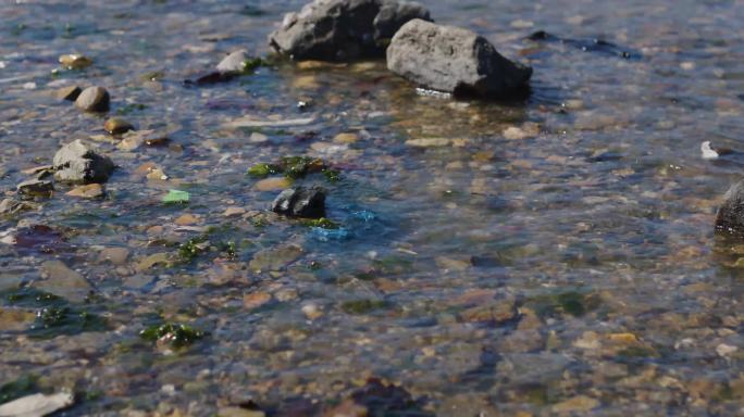海洋 海岸线塑料污染