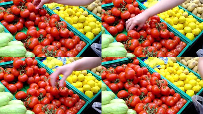 在超市选择番茄。番茄买菜生鲜超市