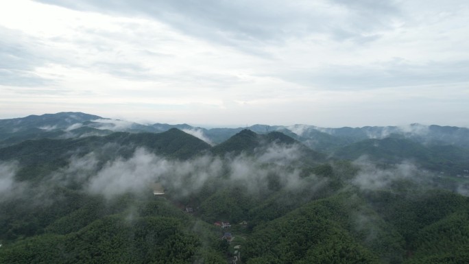 云海下的竹山（其二）