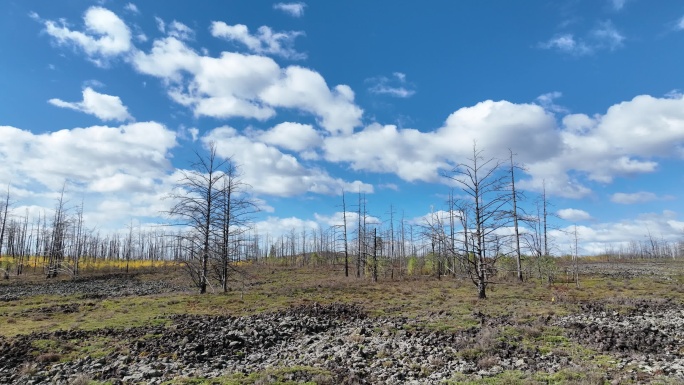 内蒙古达尔滨湖火山熔岩地貌