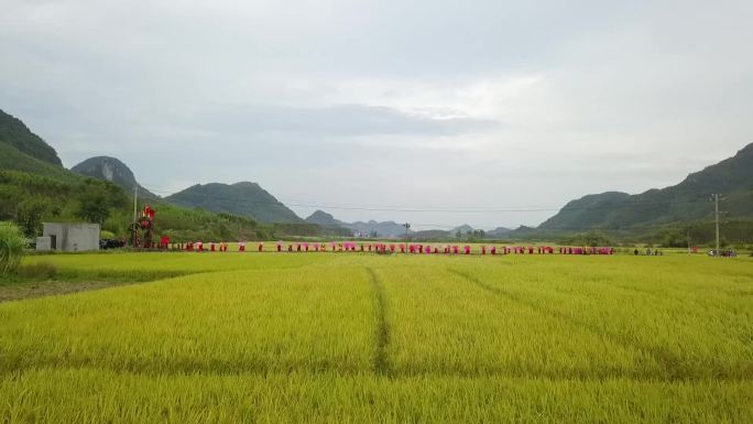 美丽乡村振兴农村农民幸福生活