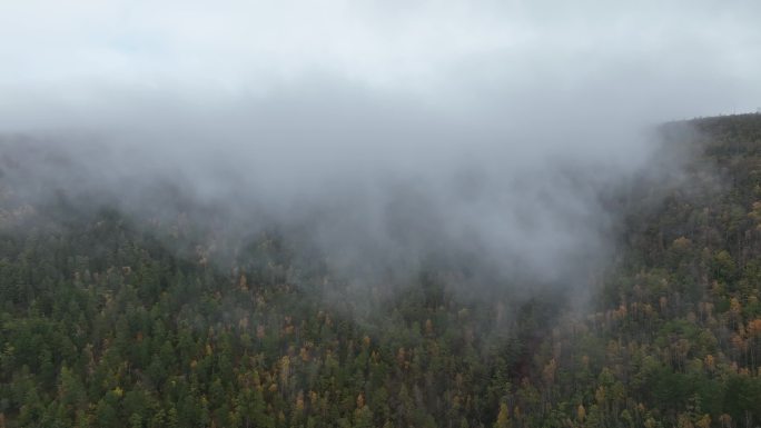 航拍秋季大兴安岭原始森林雨雾