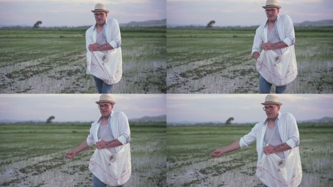 日落时分，男农民独自在稻田播种
