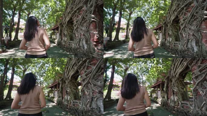 后视图：亚洲中年女性旅行者，带着相机，徒步游览一座被菩提树覆盖的神奇古庙，独自旅行