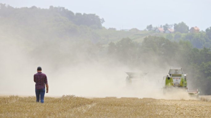 SLO MO农民走在联合收割机后面收割小麦