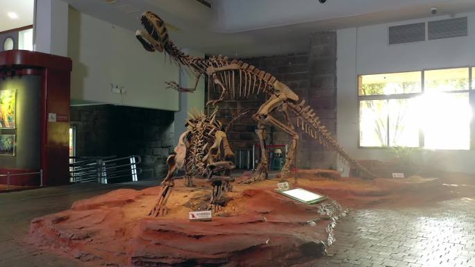 自贡恐龙博物馆素材
