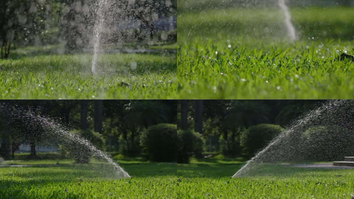 公园街道草坪草地自动洒水喷灌（慢镜头）