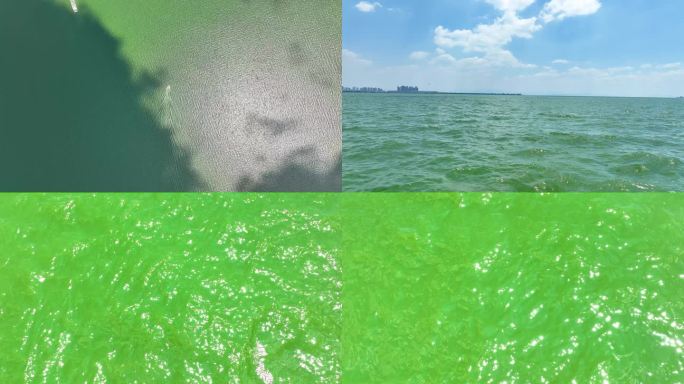 4K航拍云南昆明碧绿的滇池水2