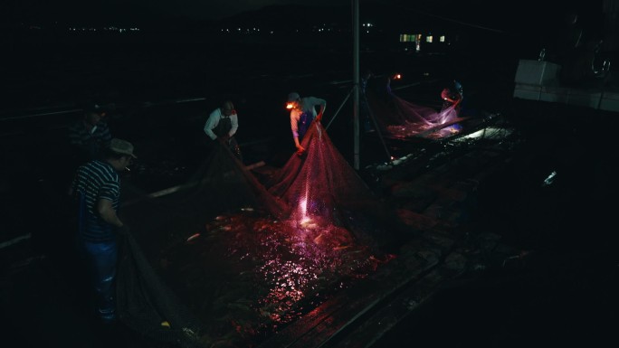 海上夜间捕捞大黄鱼收网