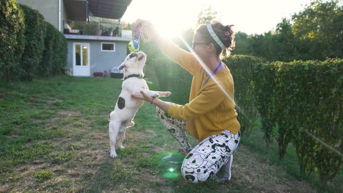 对狗的爱人遛狗养狗爱犬