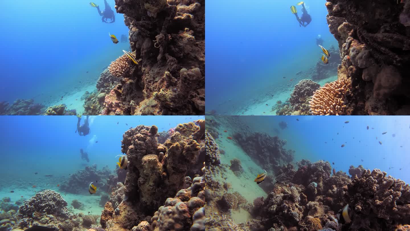 4k人在海洋中潜水的视频片段