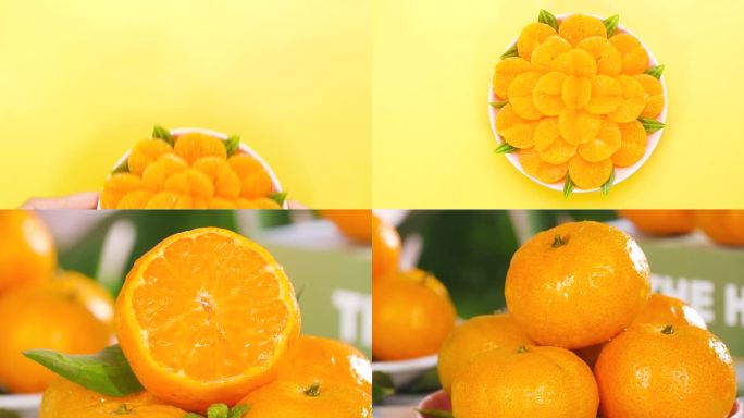 广西砂糖橘