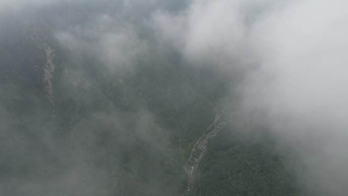 云雾中的彭州蟠龙谷