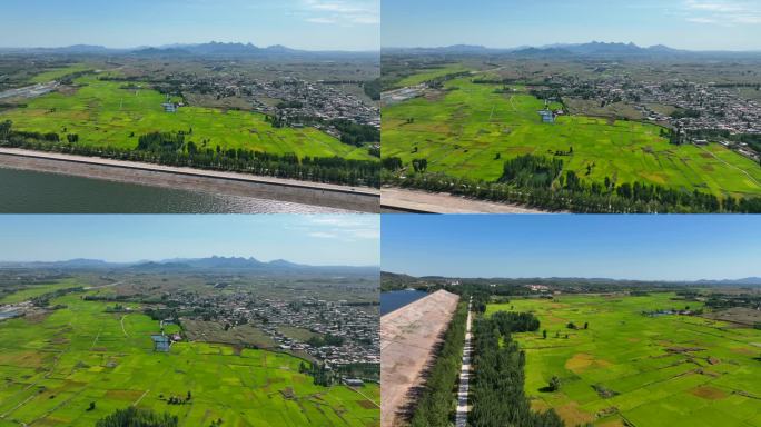 秦皇岛 洋河水库 野鸡山 湖泊 水库