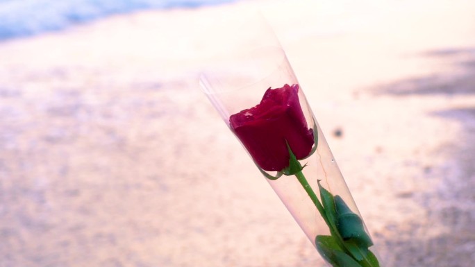唯美意境玫瑰花海边沙滩