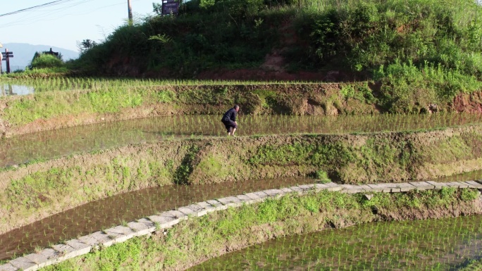 湖南娄底新化紫鹊界梯田航拍