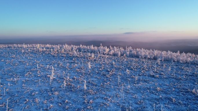 航拍林海雪原雾凇暮色