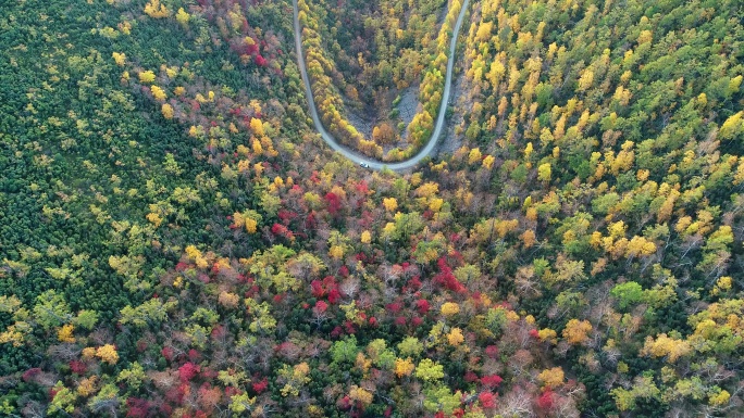 航拍秋季五彩森林山路