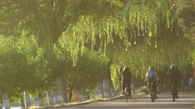 慢跑健身运动早晨放松锻炼有氧运动骑行锻炼