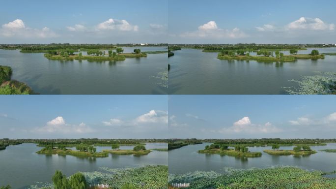 扬州 北湖湿地公园 航拍 原创 4K