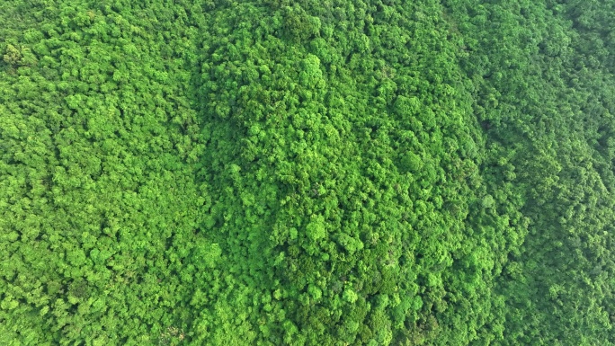 深圳羊台山阳台山