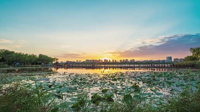 银川海宝公园 荷塘 落日夕阳 晚霞风光