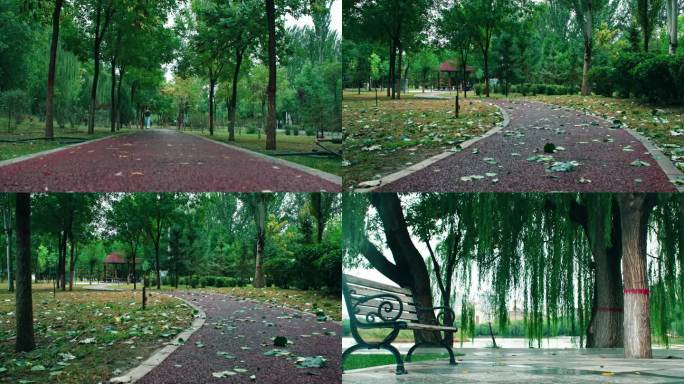 秋雨后的公园