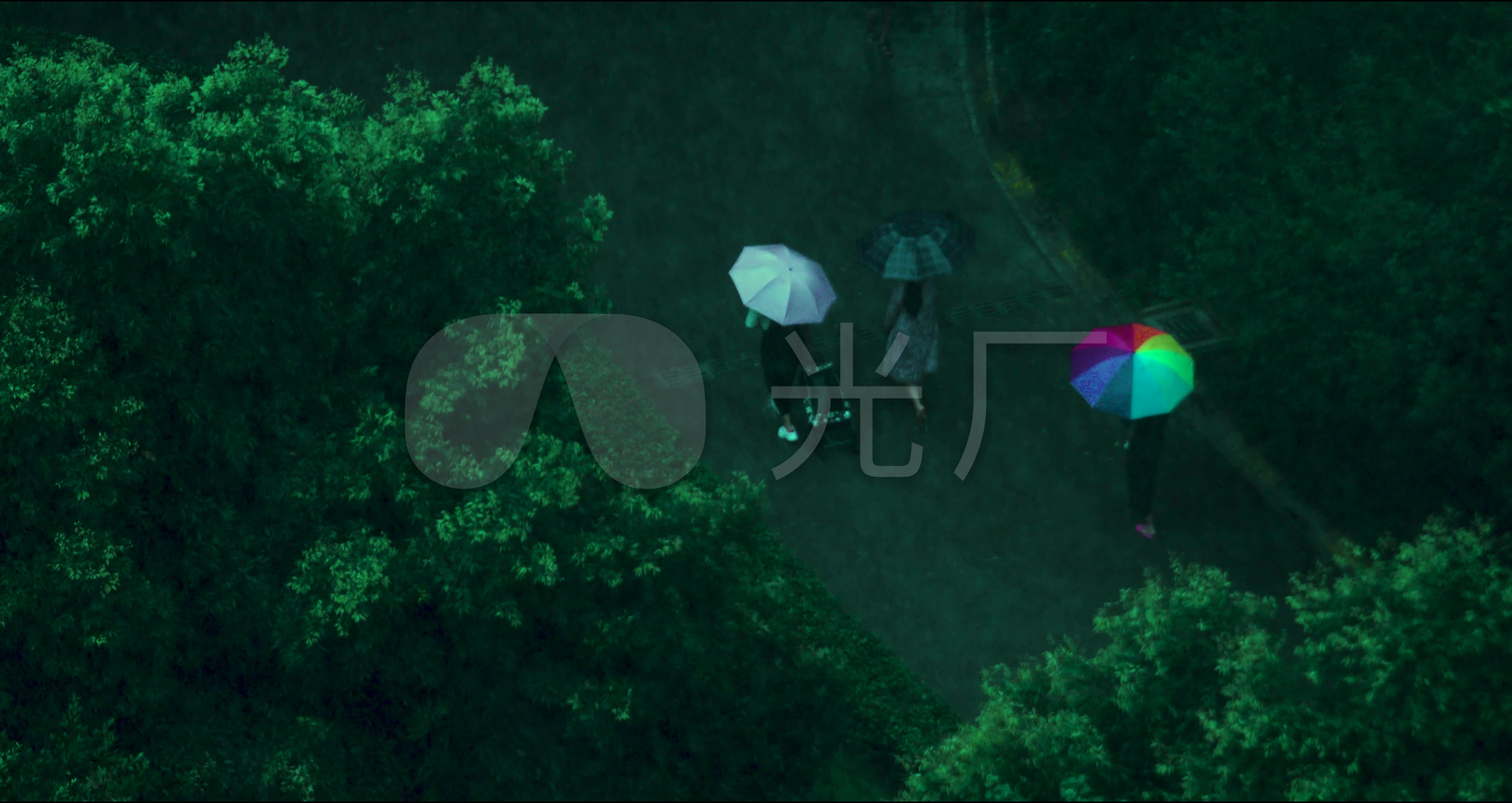 日本梅雨季节的美丽尤物—紫阳花 – 株式会社大田花卉