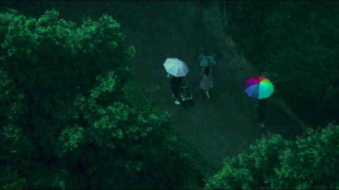 阴雨天城市小区梅雨季节下雨天雨滴雨水