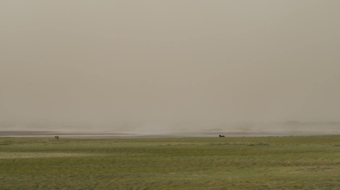 大漠绿洲起沙尘暴