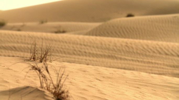阿联酋迪拜干旱沙漠