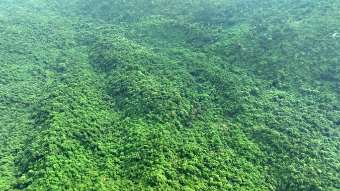 深圳羊台山阳台山