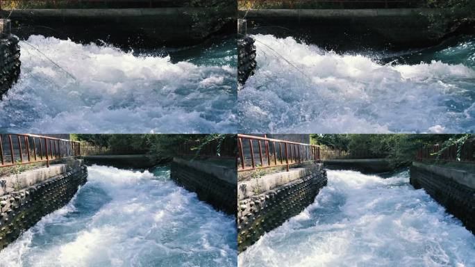 河道 河水 清澈 激流 雪水 山泉