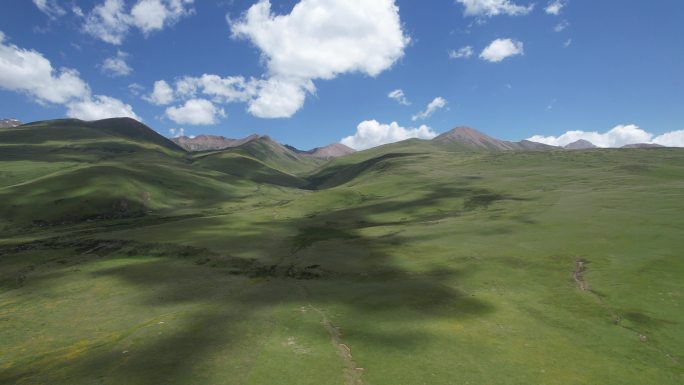 西藏大草原河流湖泊雪山川西风光航拍素材