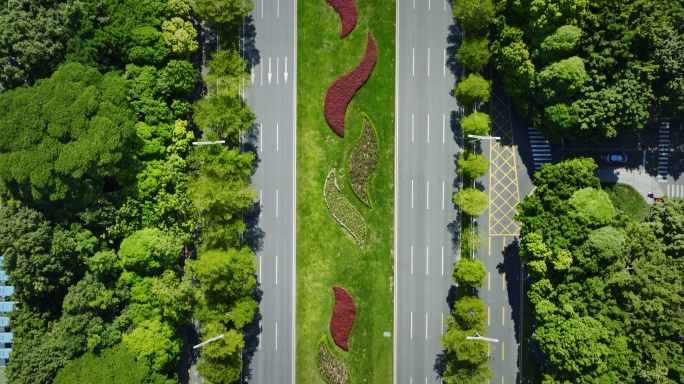 【5.1k】疫情下的南山竹子林道路