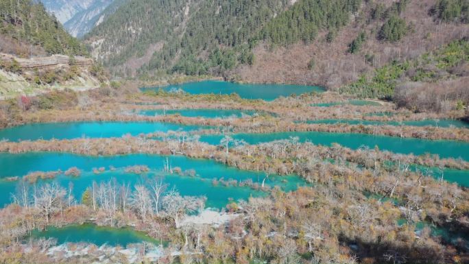 航拍秋天的九寨沟树正群海风景