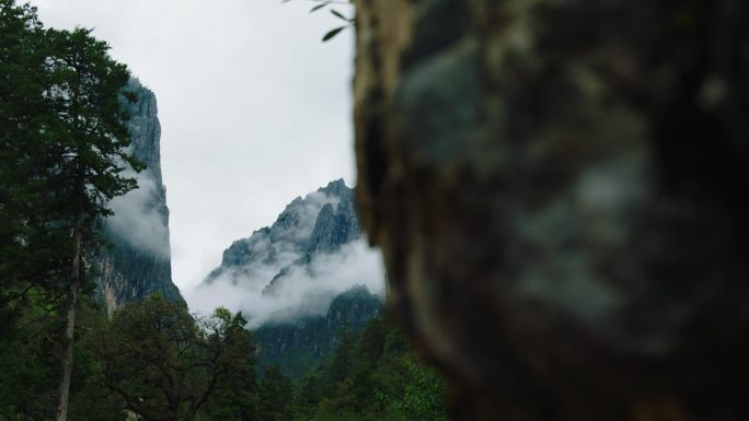 青山白云绿树