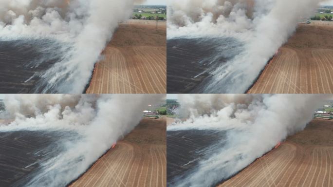 农田起火。鸟瞰图，中央上方。从直升机上观看。棕灰色烟雾。红色火焰和消防队员。水平和旋转摄像机运动。农
