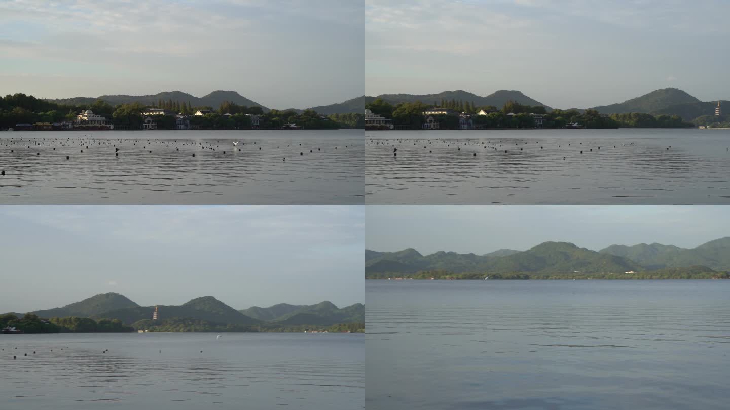 杭州西湖视频素材C0017