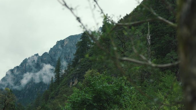 青山白云绿树