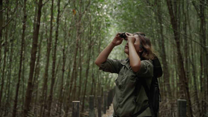 亚洲女性研究人员穿越红树林，记录红树林地区的动植物群、景观和环境，以便进一步研究以发展知识