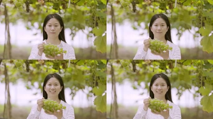 年轻女子果园里举起刚采摘葡萄对着镜头微笑