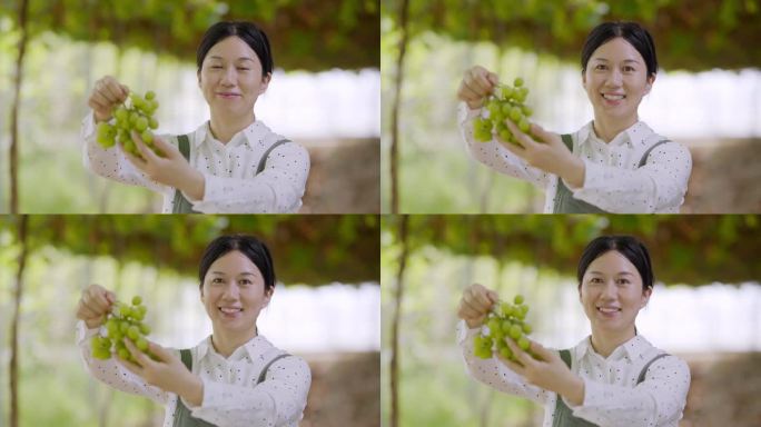 年轻女性果园主举起丰产葡萄对着镜头微笑