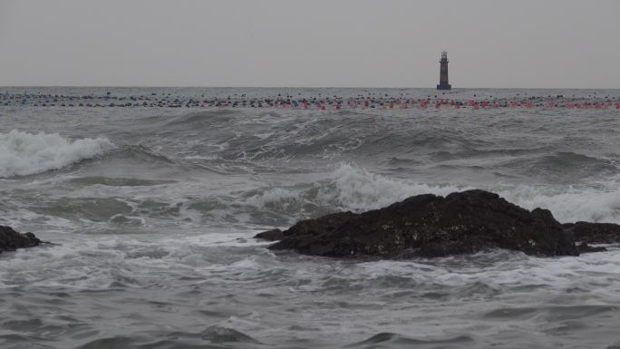 原创视频素材 大海 海浪 礁石 浪花