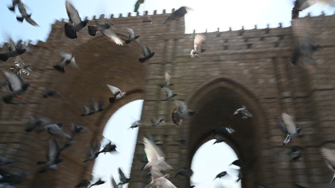 一群鸽子飞越吉达巴卜麦加